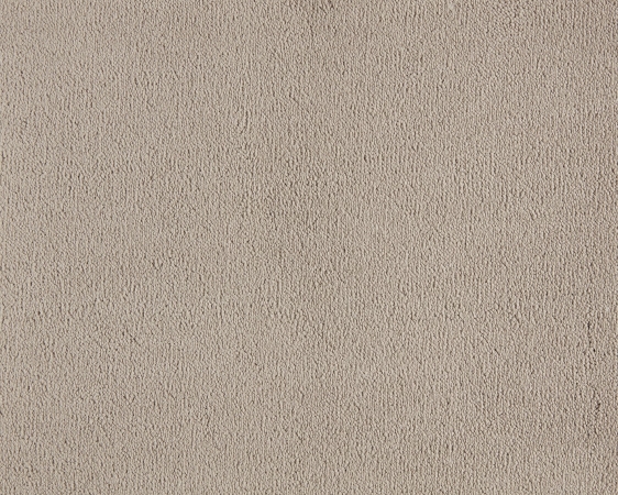 Celeste - 260 Beige